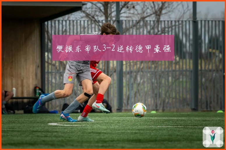 樊振东率队3-2逆转德甲豪强