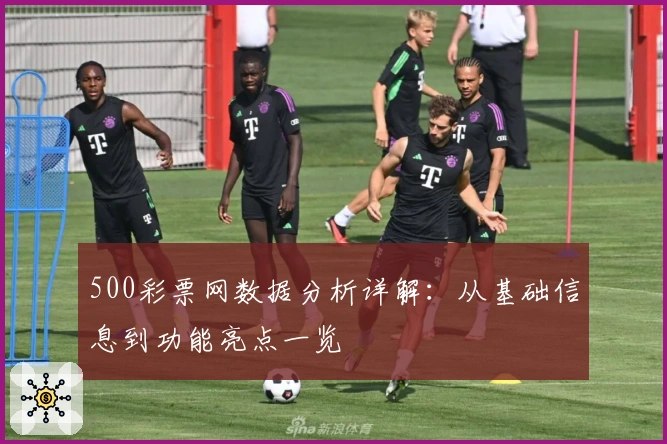 500彩票网数据分析详解:从基础信息到功能亮点一览