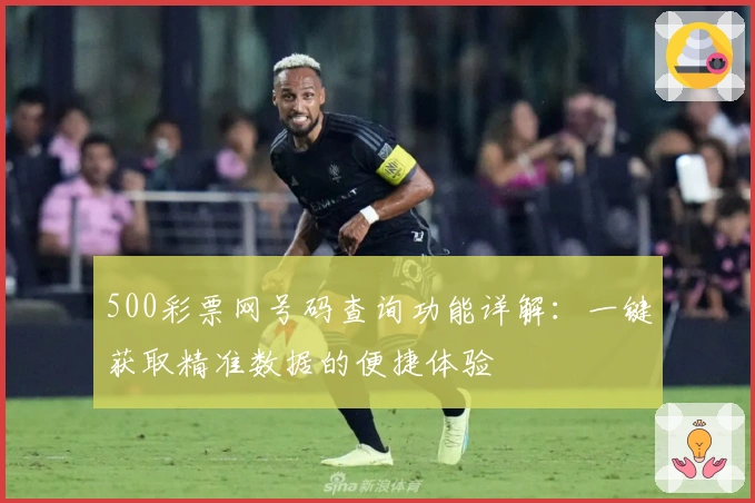 500彩票网号码查询功能详解：一键获取精准数据的便捷体验