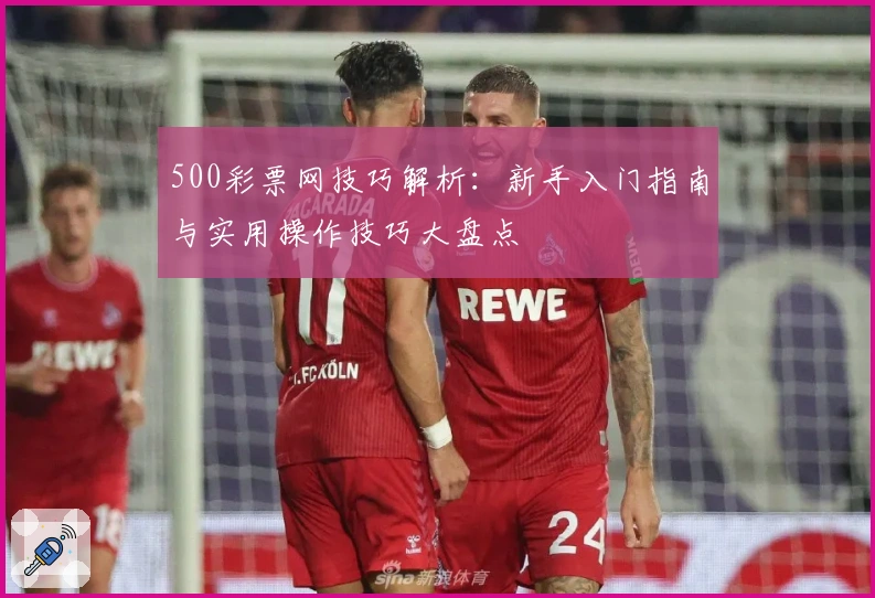 500彩票网技巧解析：新手入门指南与实用操作技巧大盘点