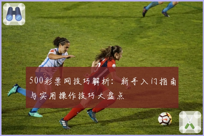 500彩票网技巧解析：新手入门指南与实用操作技巧大盘点